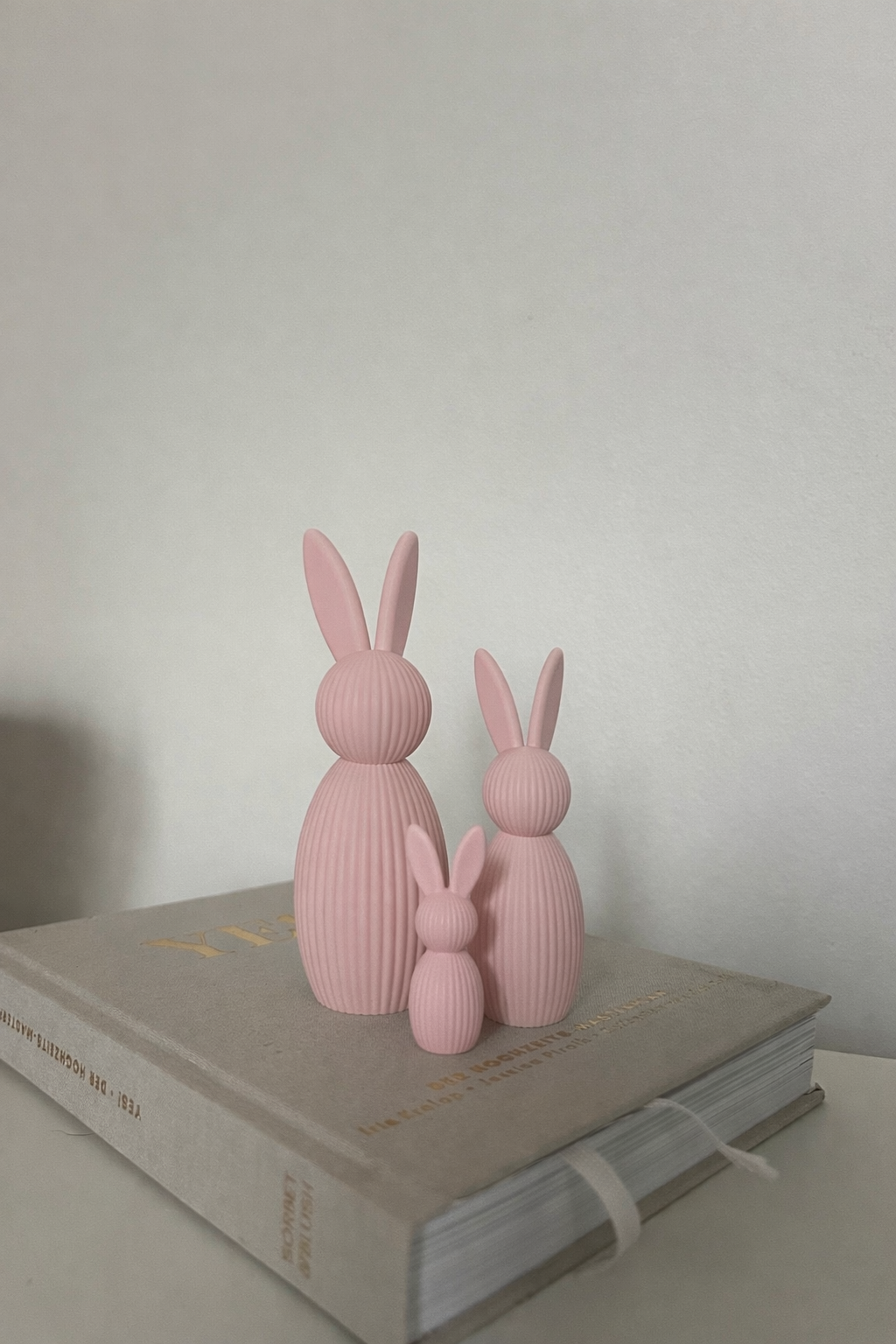 Nova Bunny Family