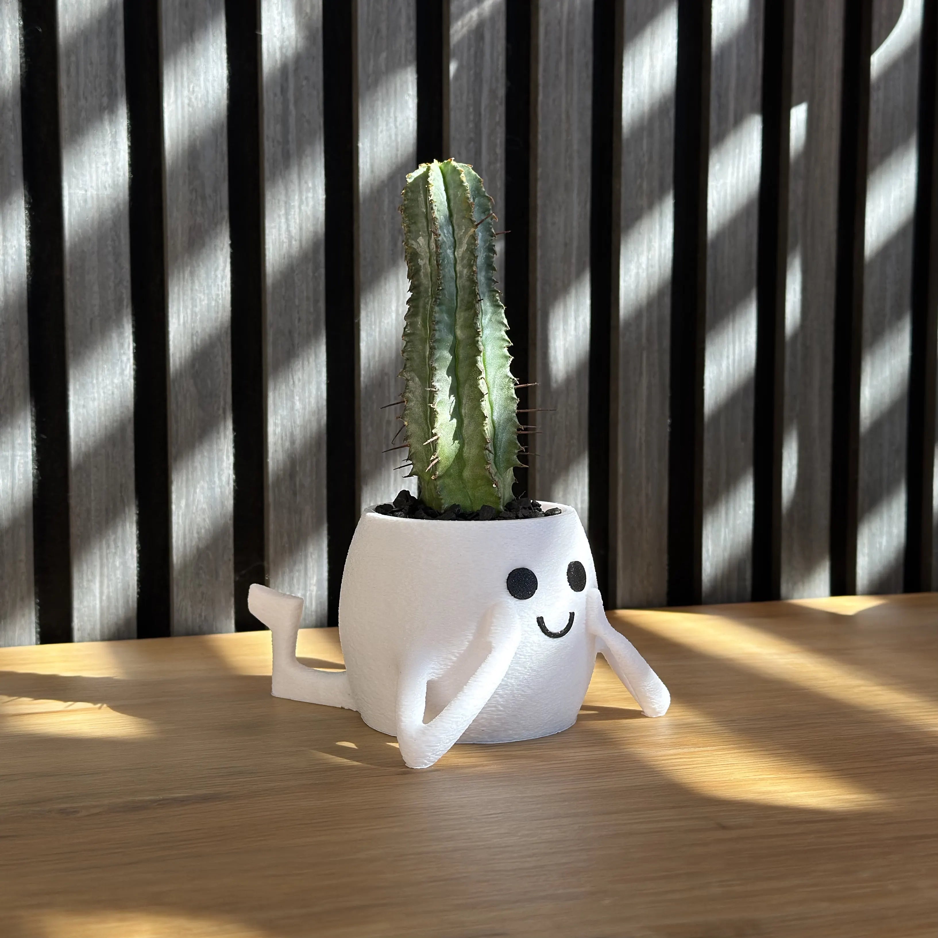 Rosetta Sukkulententopf
