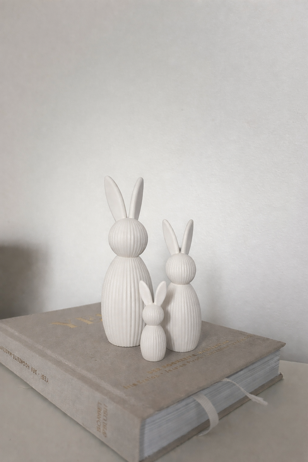 Nova Bunny Family